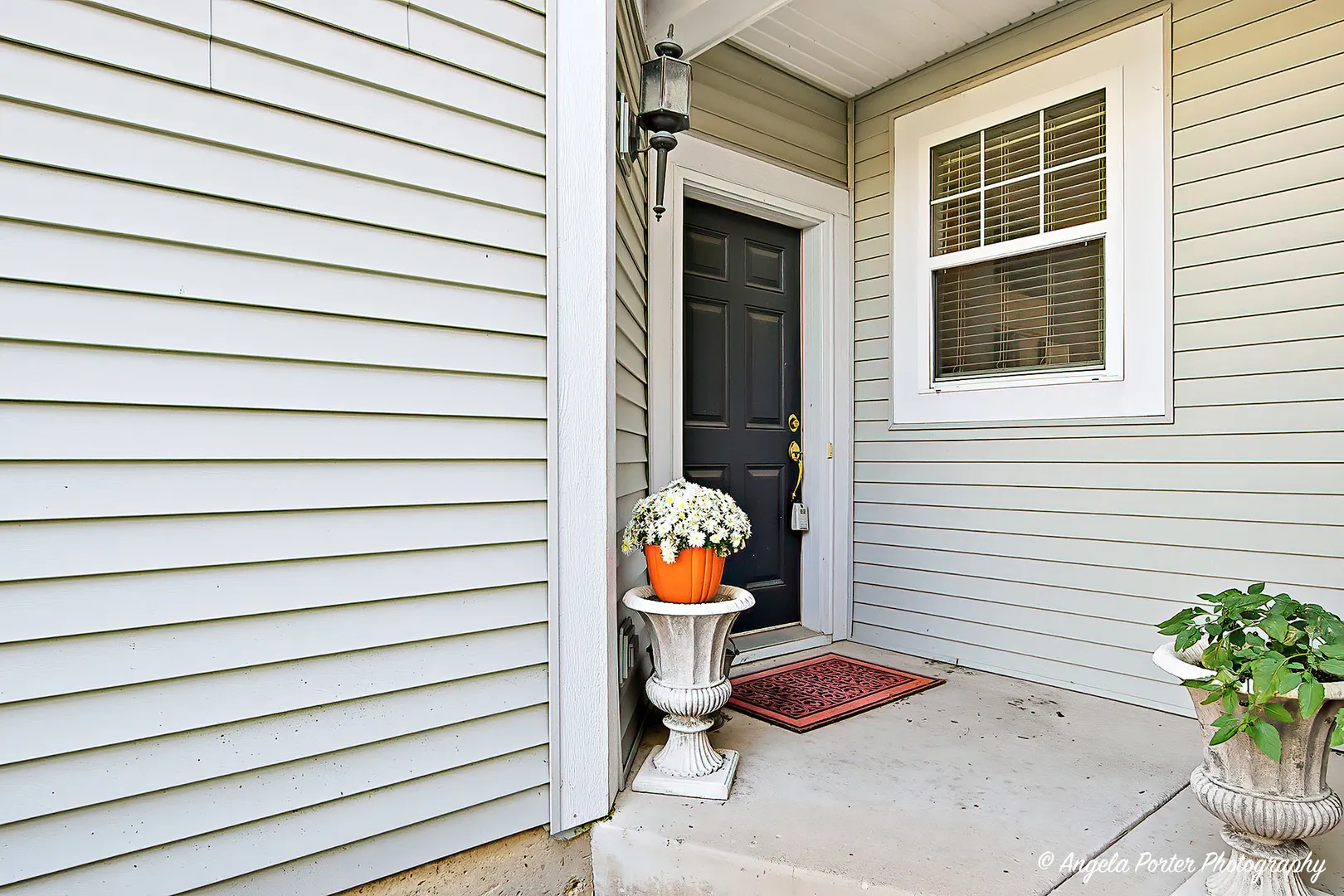 2810 Cattail Court B IL