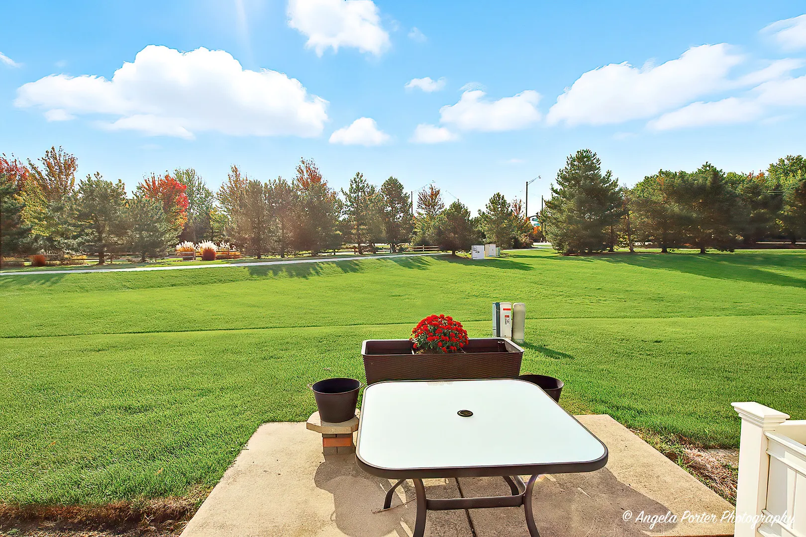 2810 Cattail Court B IL