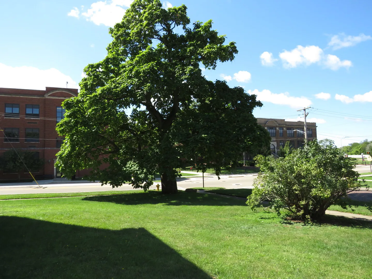 304 E Main Street A IL
