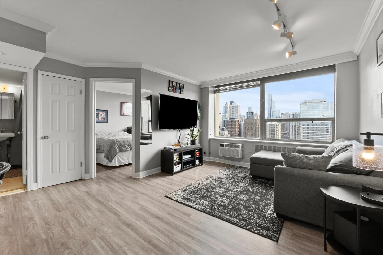 1360 N Sandburg Terrace 2909C IL