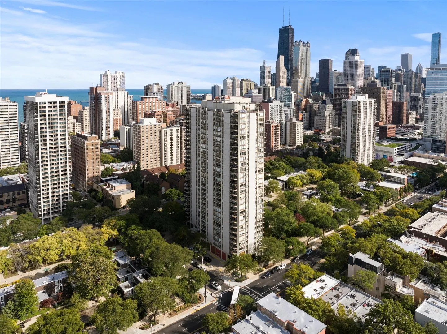 1360 N Sandburg Terrace 2909C IL