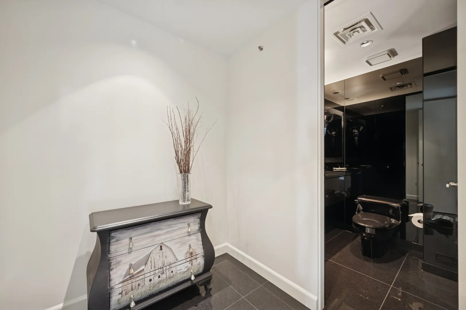 132 E Delaware Place 5201 IL