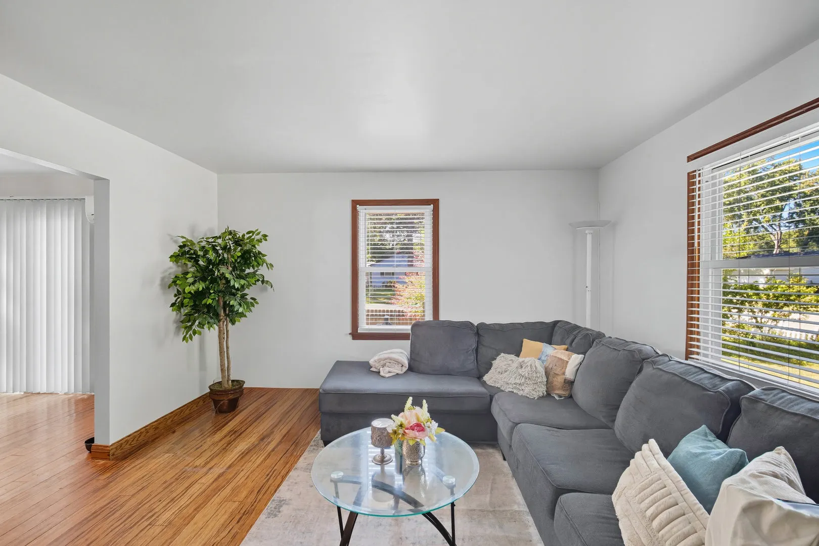 10241 W Bairstow Avenue IL