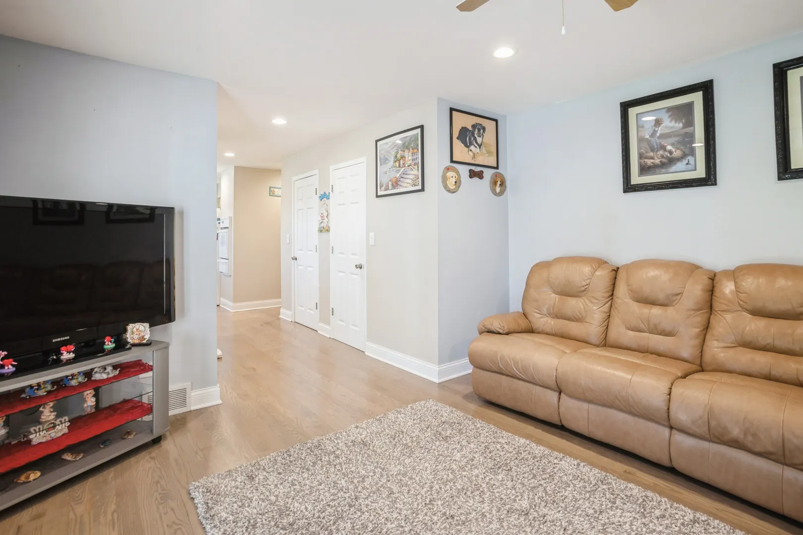 1109 S Lavergne Drive IL