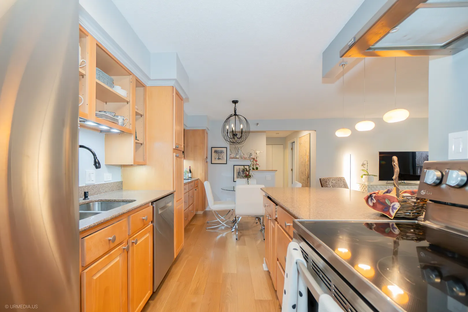 1250 N DEARBORN Street 5B IL