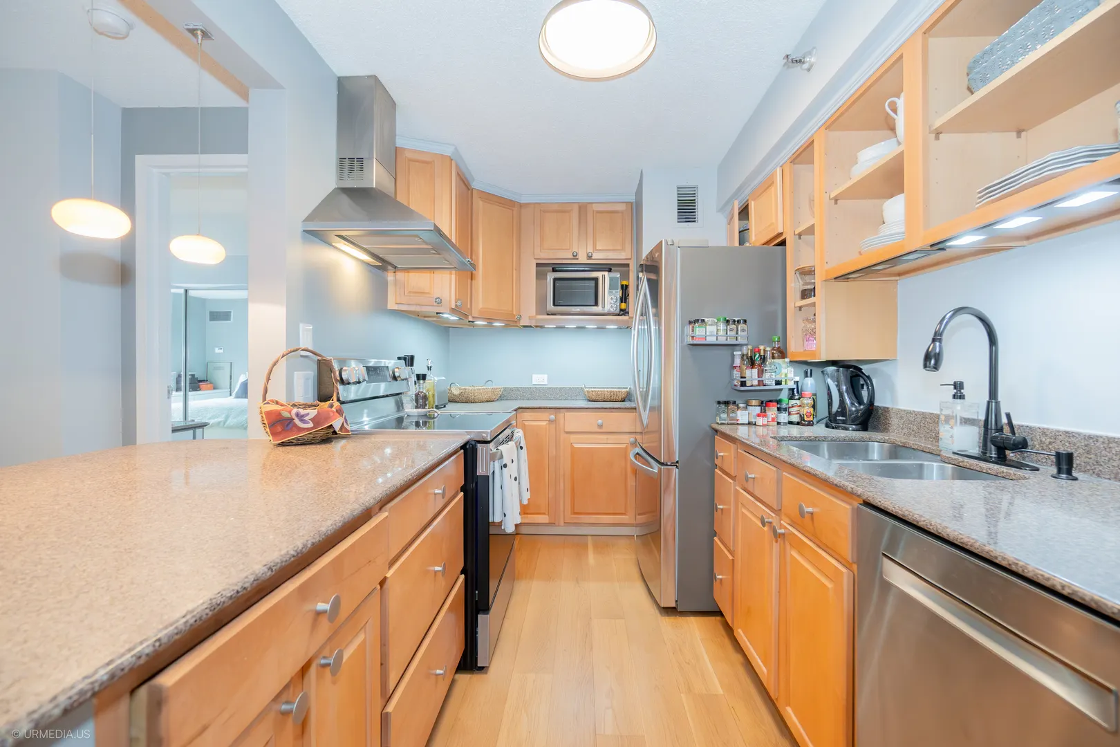 1250 N DEARBORN Street 5B IL