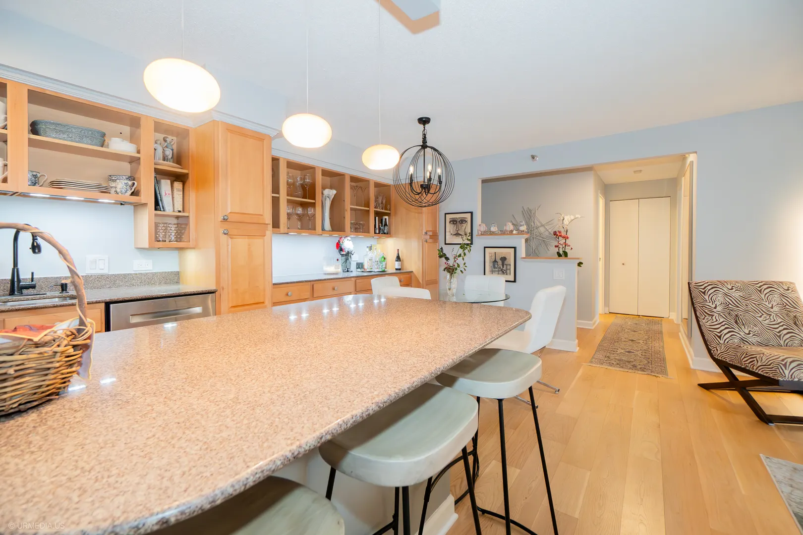 1250 N DEARBORN Street 5B IL