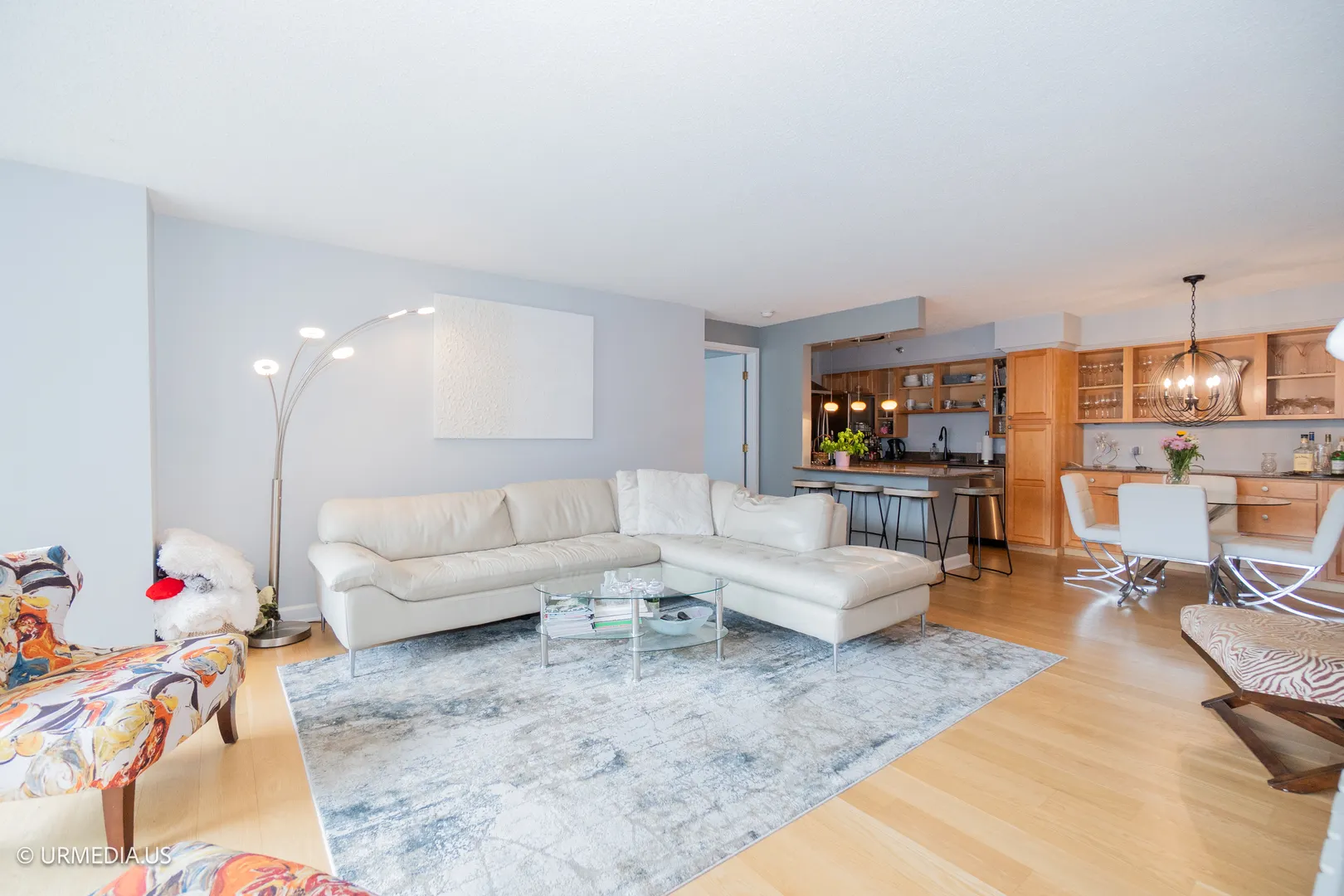 1250 N DEARBORN Street 5B IL