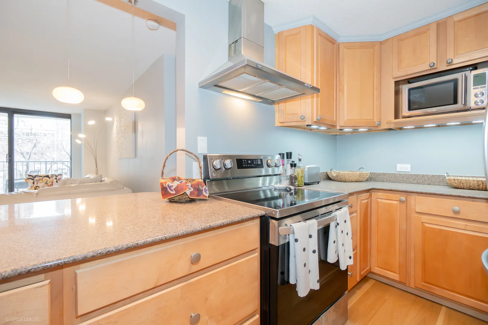 1250 N DEARBORN Street 5B IL