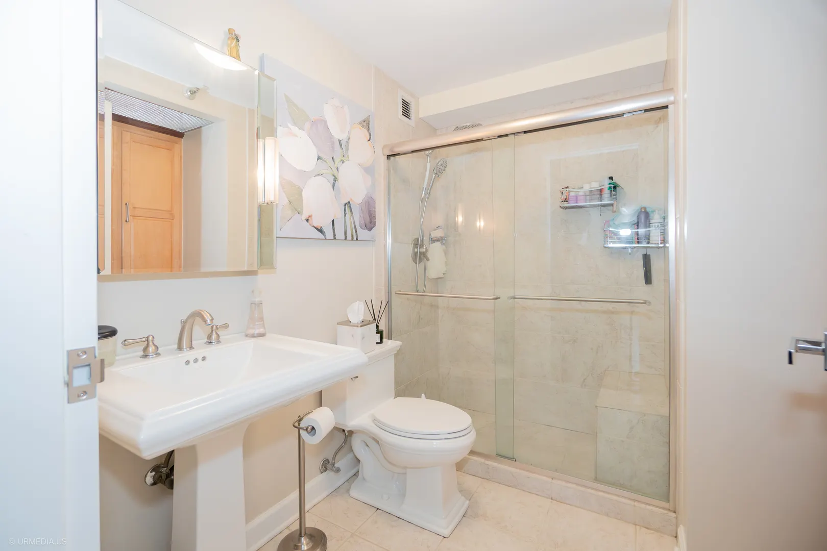 1250 N DEARBORN Street 5B IL