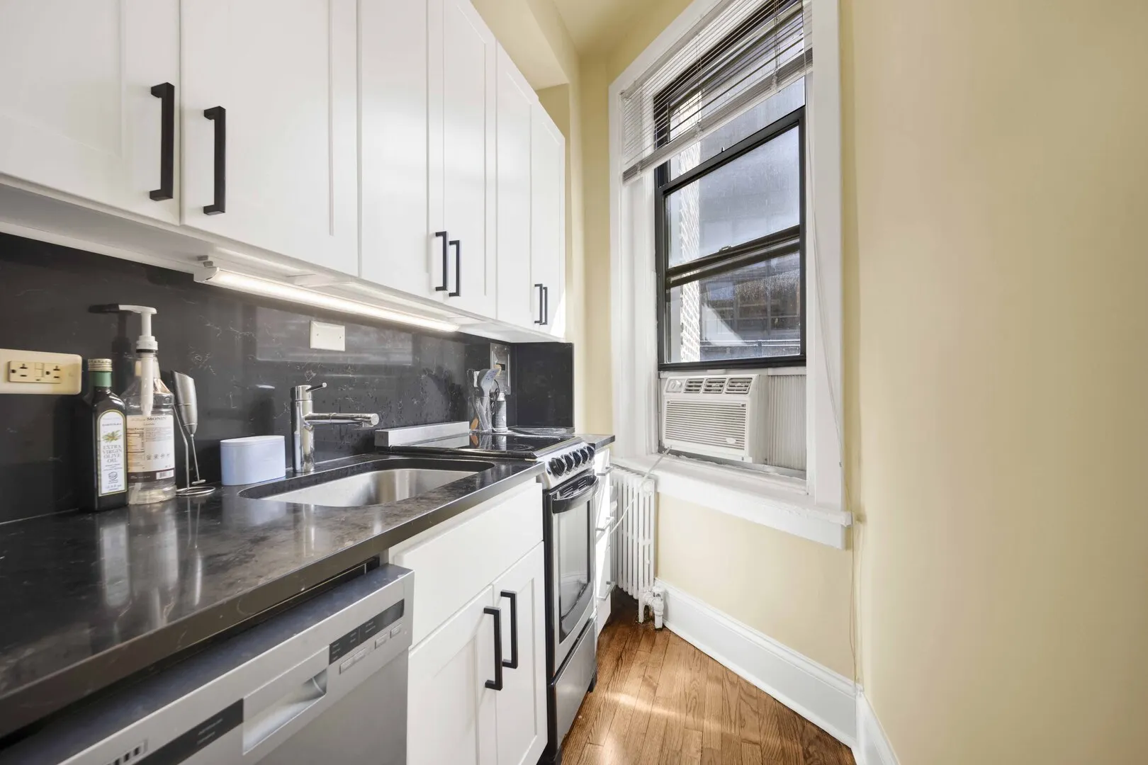 63 E Cedar Street 4B IL