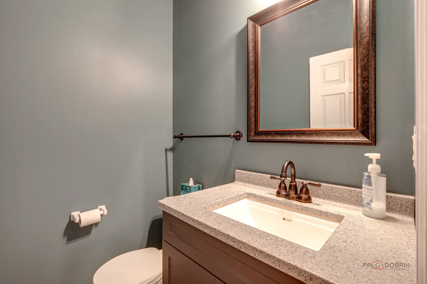 2208 SANCTUARY Court IL