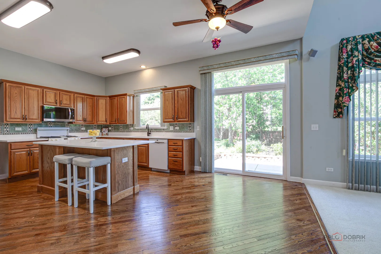 2208 SANCTUARY Court IL