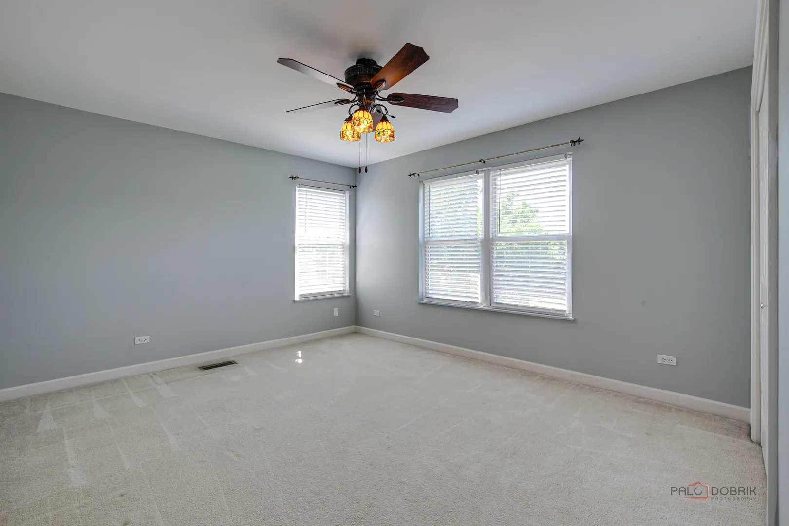 2208 SANCTUARY Court IL