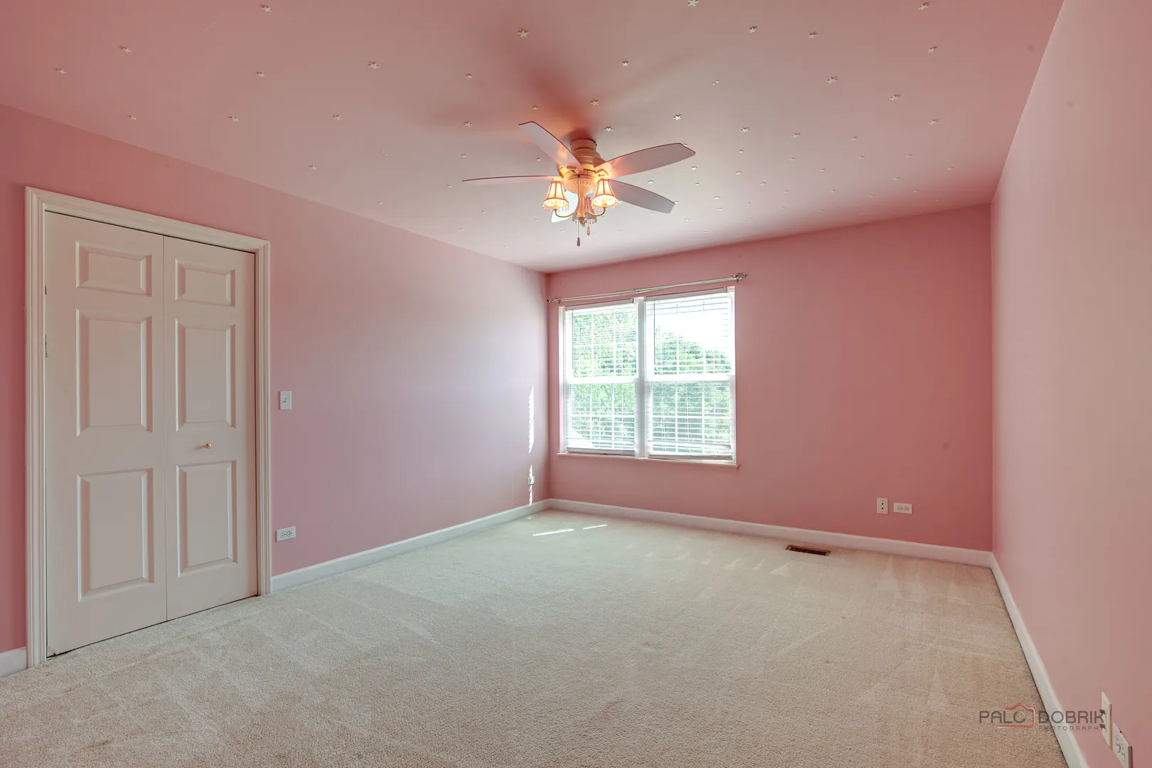 2208 SANCTUARY Court IL