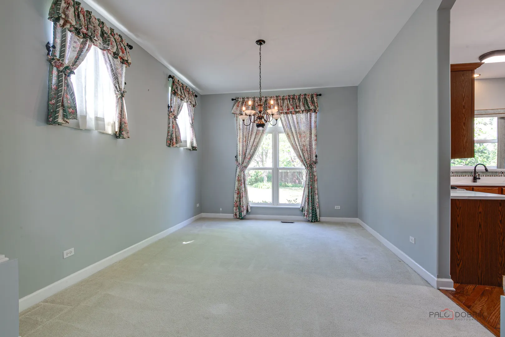 2208 SANCTUARY Court IL