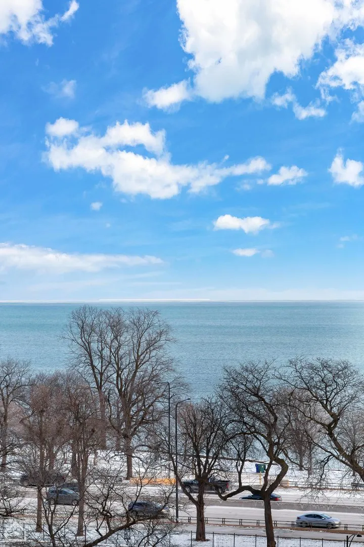 1755 E 55th Street 804 IL