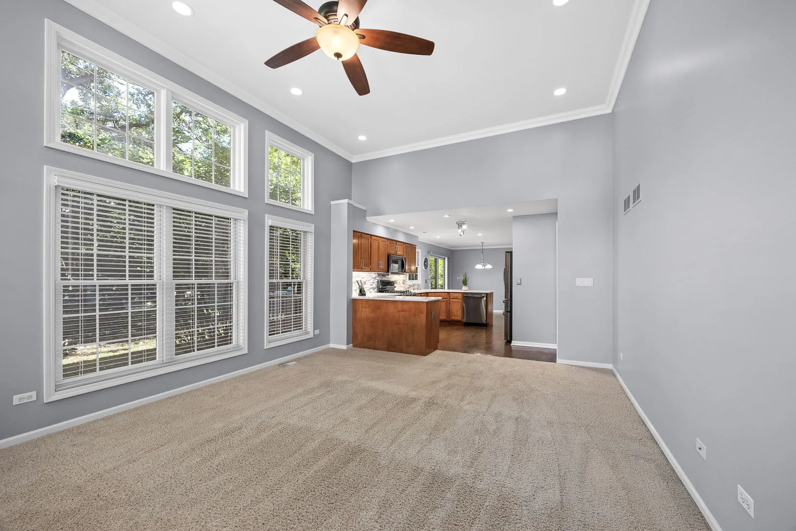 719 Pinecreek Drive IL