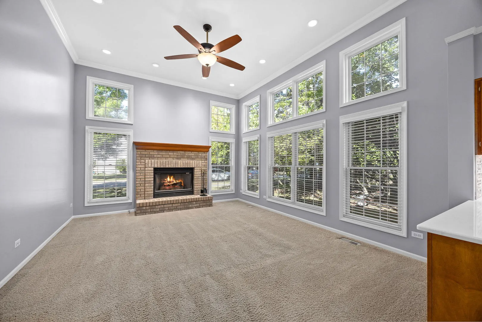 719 Pinecreek Drive IL