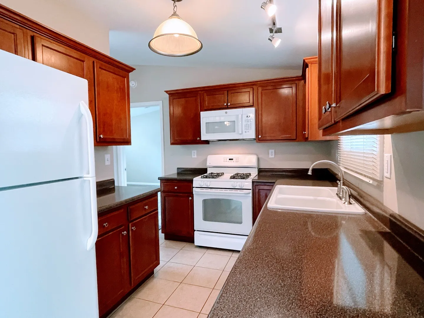 167 W Carol Avenue IL