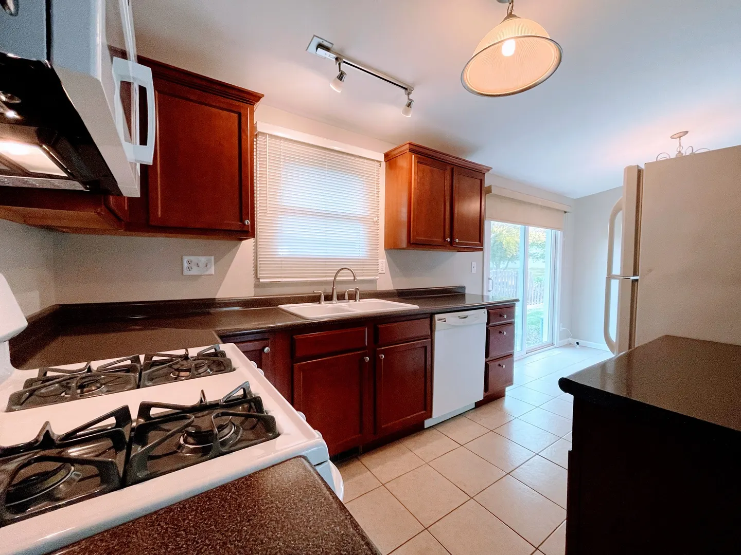 167 W Carol Avenue IL