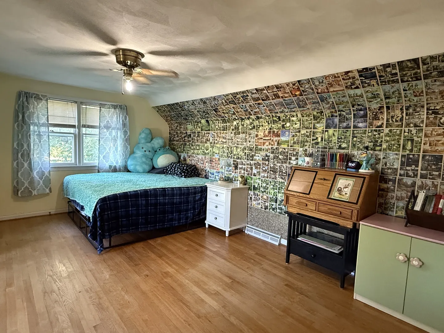 11113 Cunningham Road IL