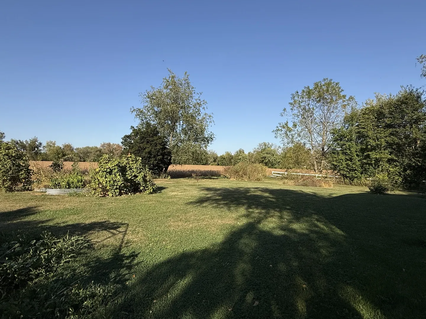 11113 Cunningham Road IL
