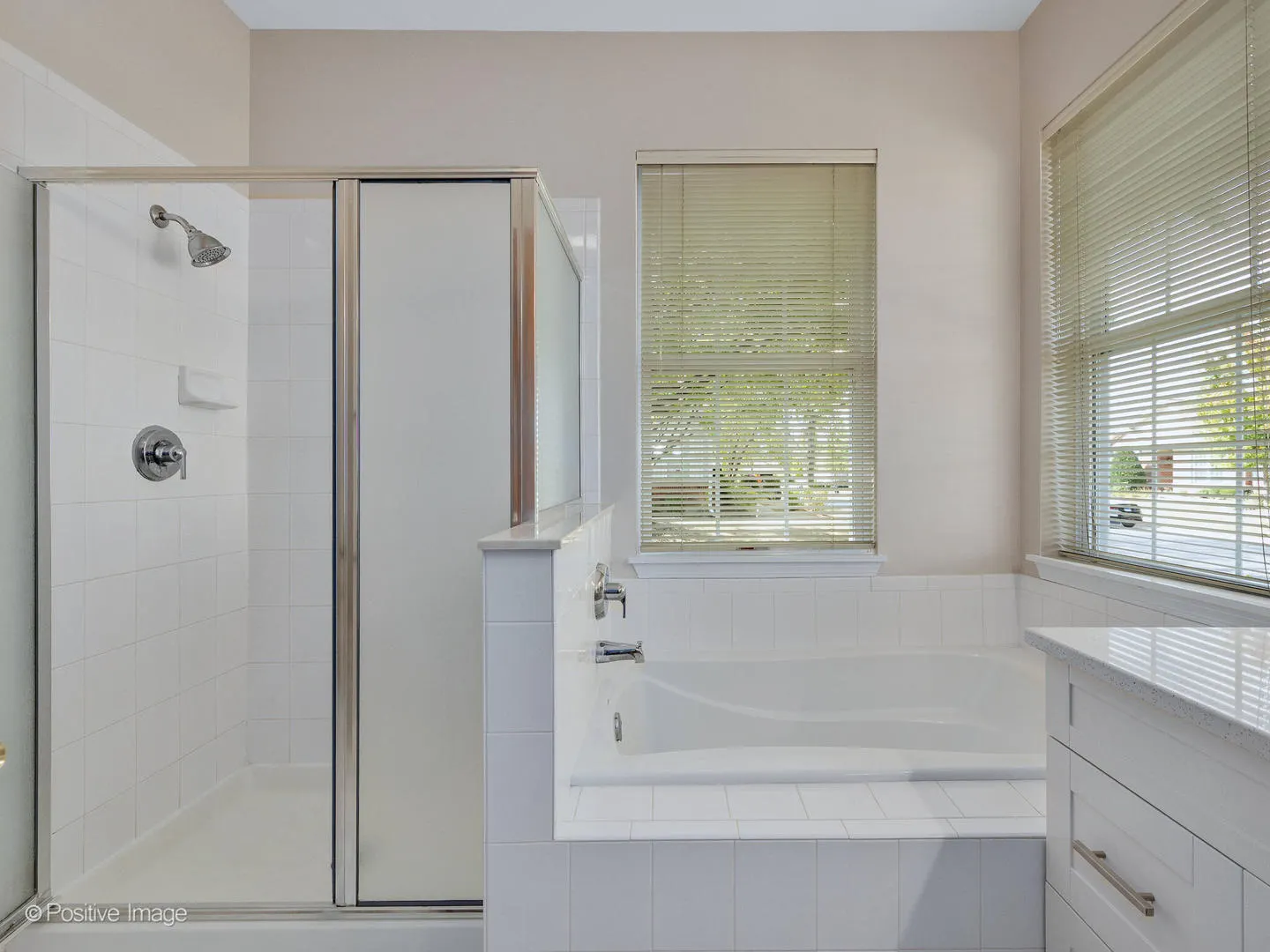 21535 W Empress Lane IL