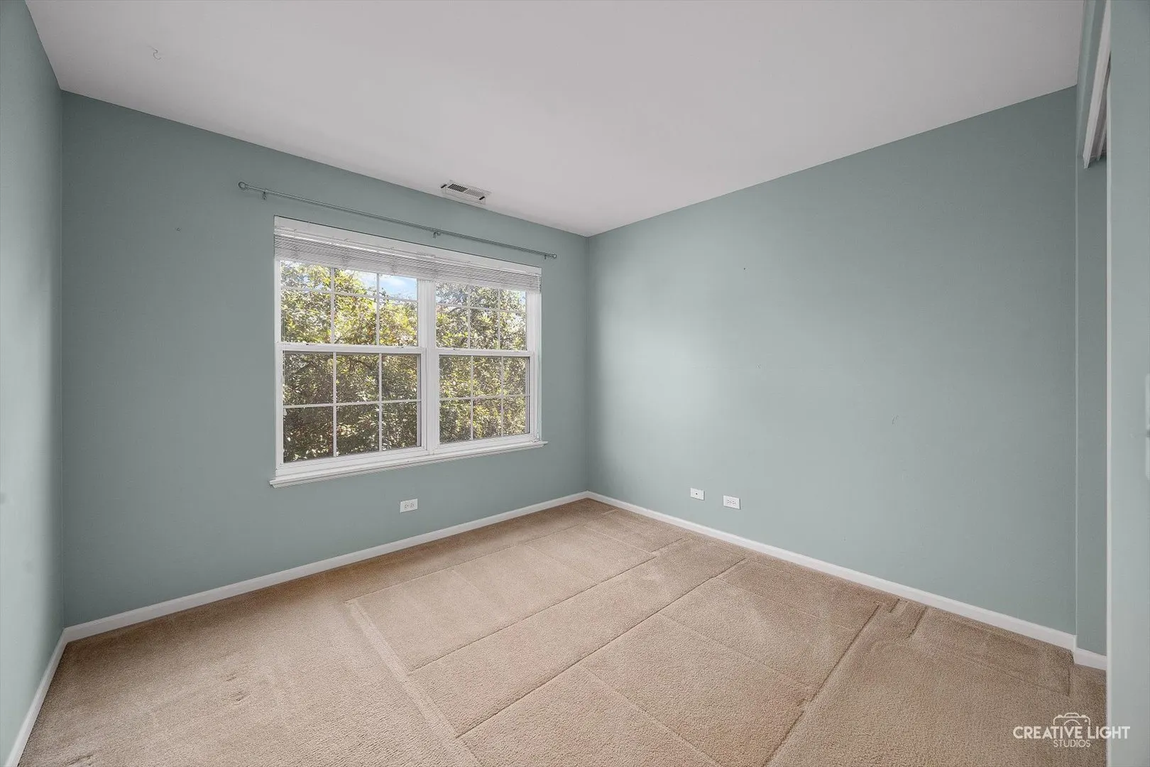 171 DURANGO Drive IL
