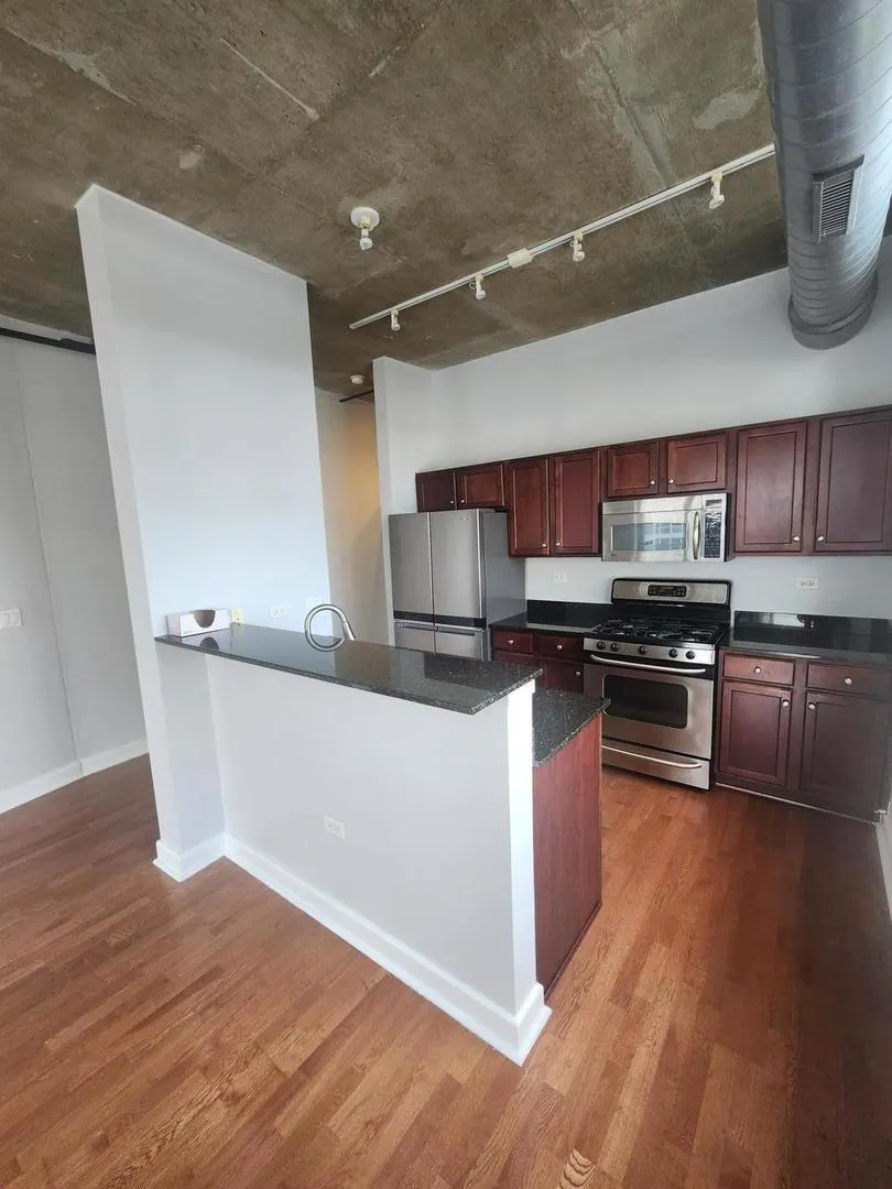 1305 S Michigan Avenue 1805 IL