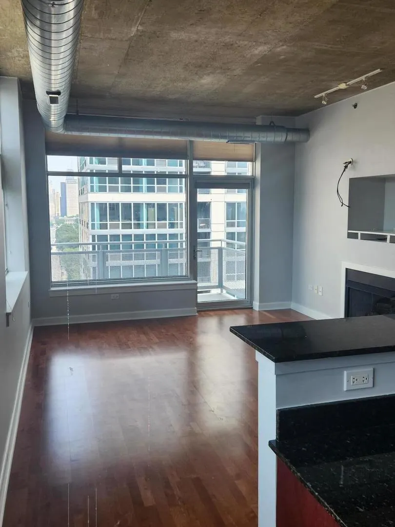 1305 S Michigan Avenue 1805 IL