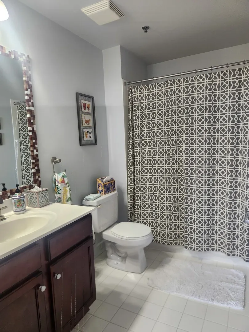 1305 S Michigan Avenue 1805 IL