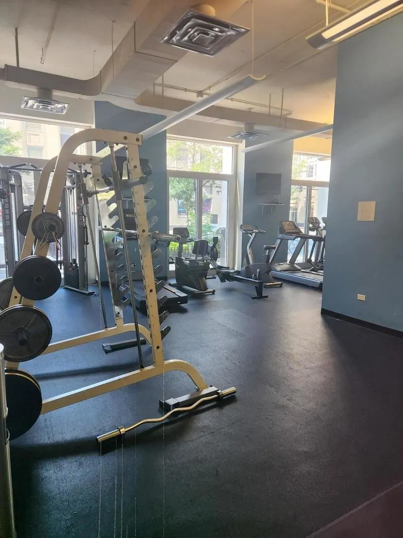 1305 S Michigan Avenue 1805 IL