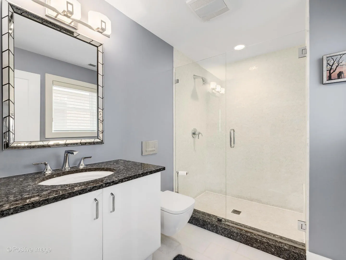 480 W Seminary Avenue IL