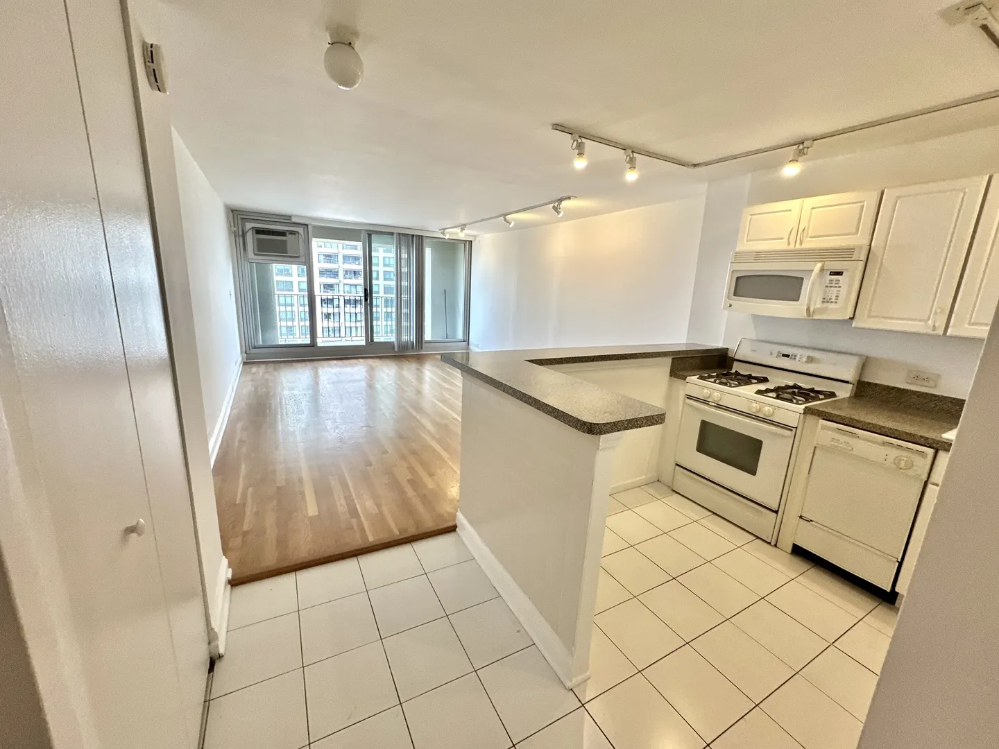 1960 N Lincoln Park West 2202 IL