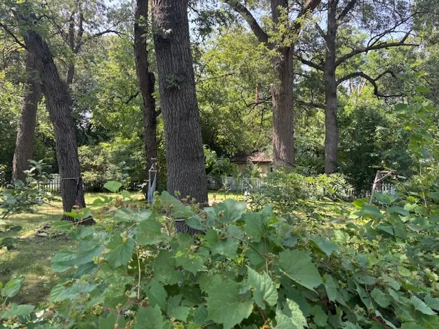 17218 Forestway Drive IL