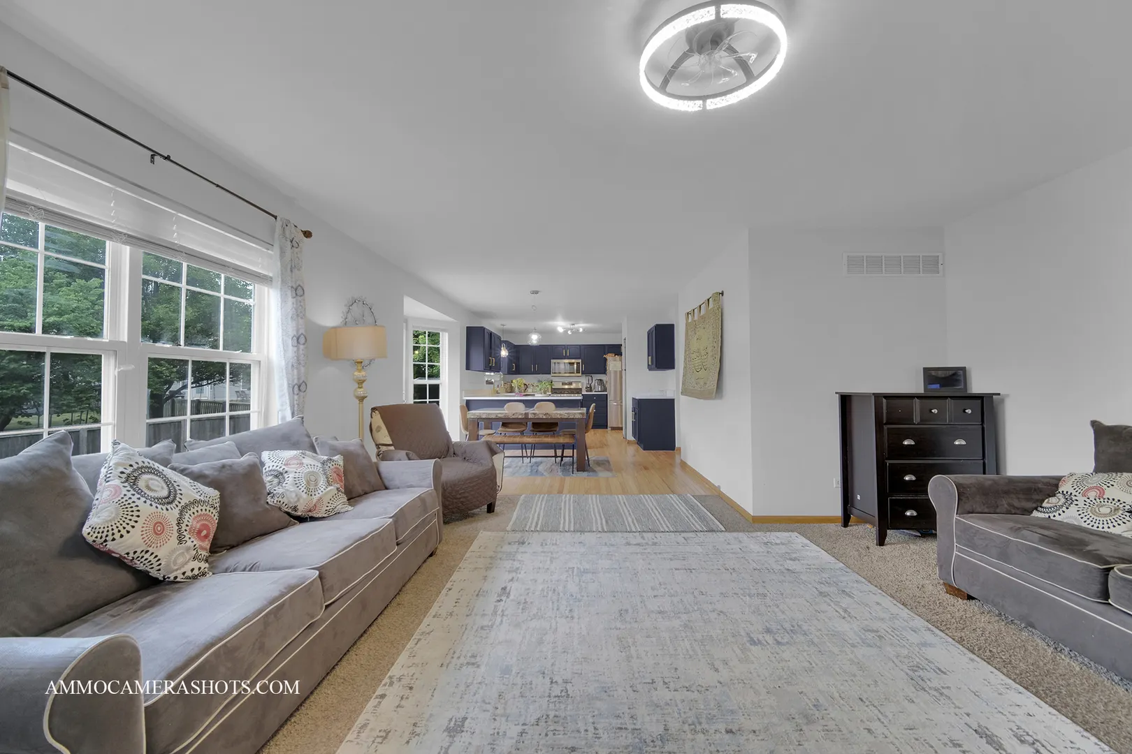 249 Gladiolus Drive IL
