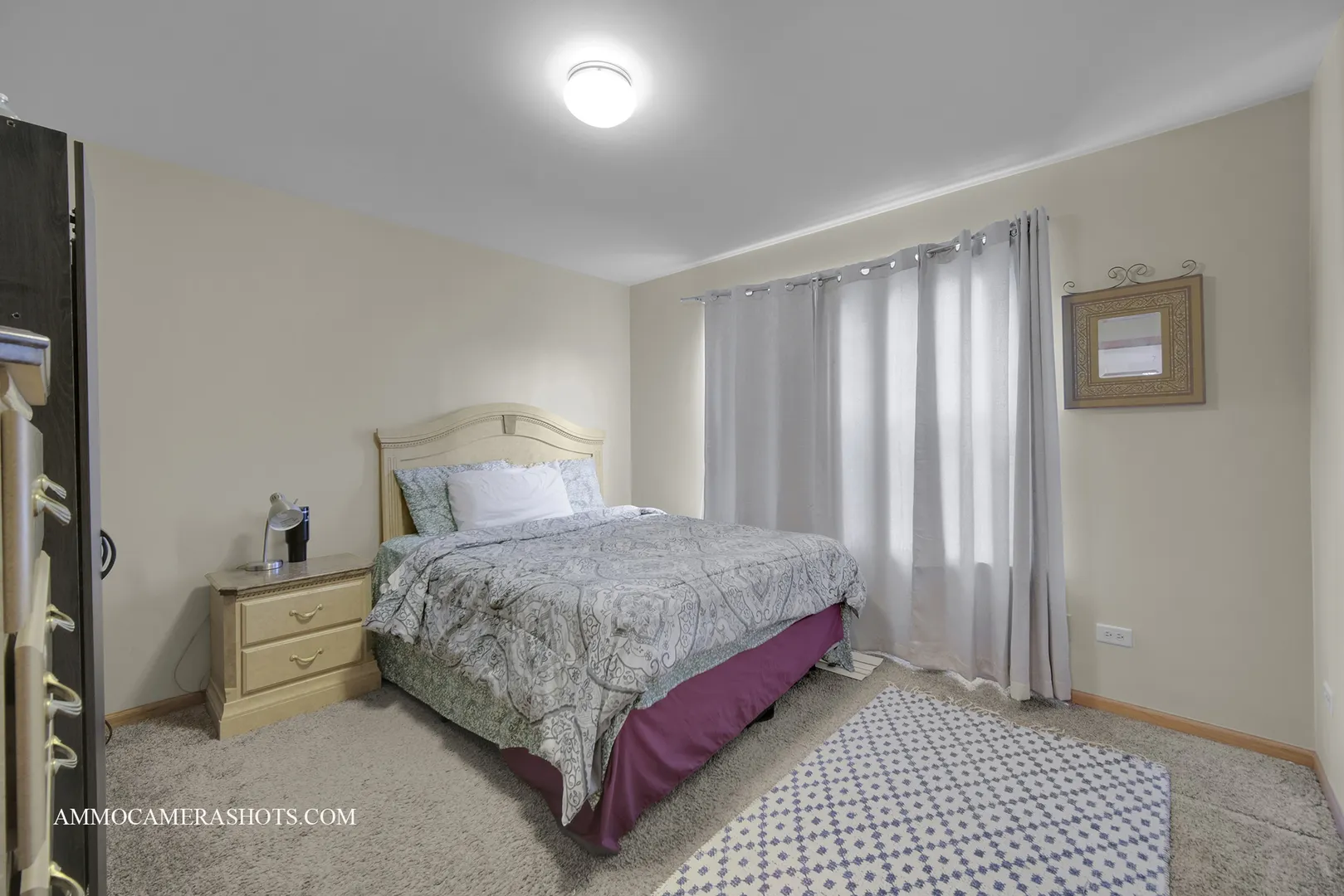 249 Gladiolus Drive IL