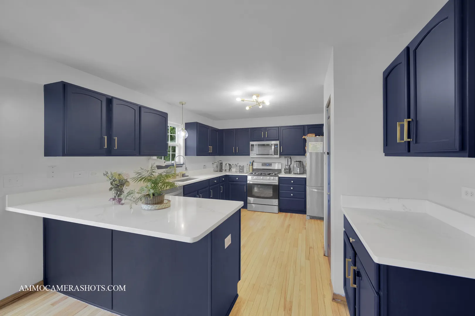 249 Gladiolus Drive IL