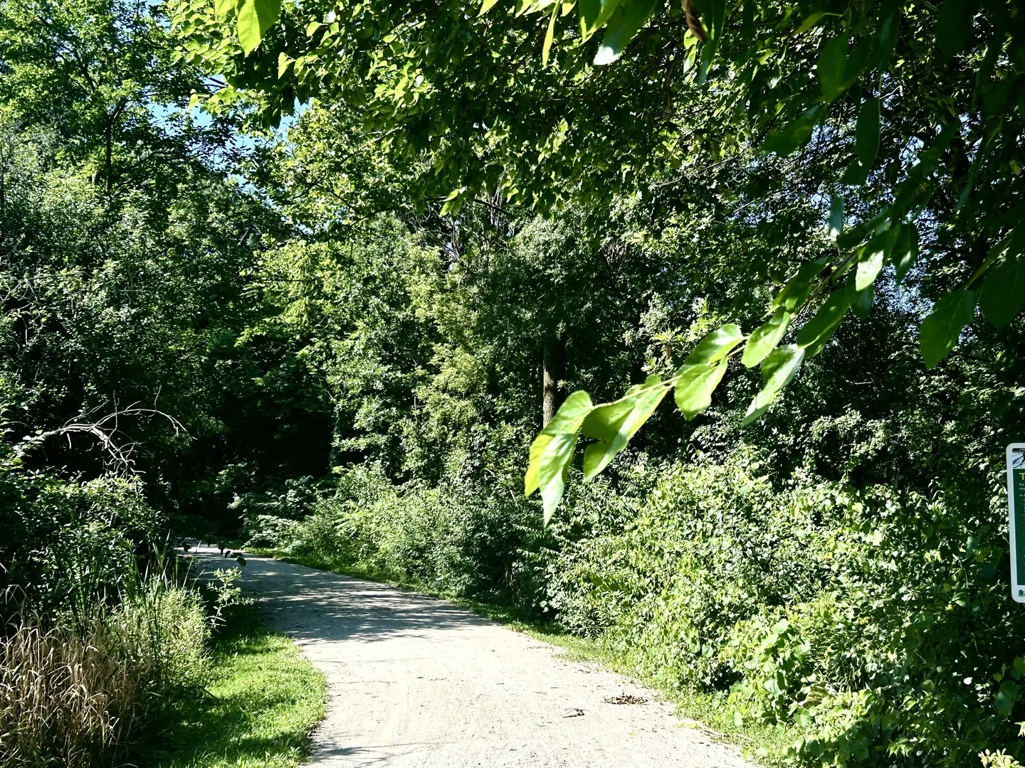 27W229 Providence Lane IL