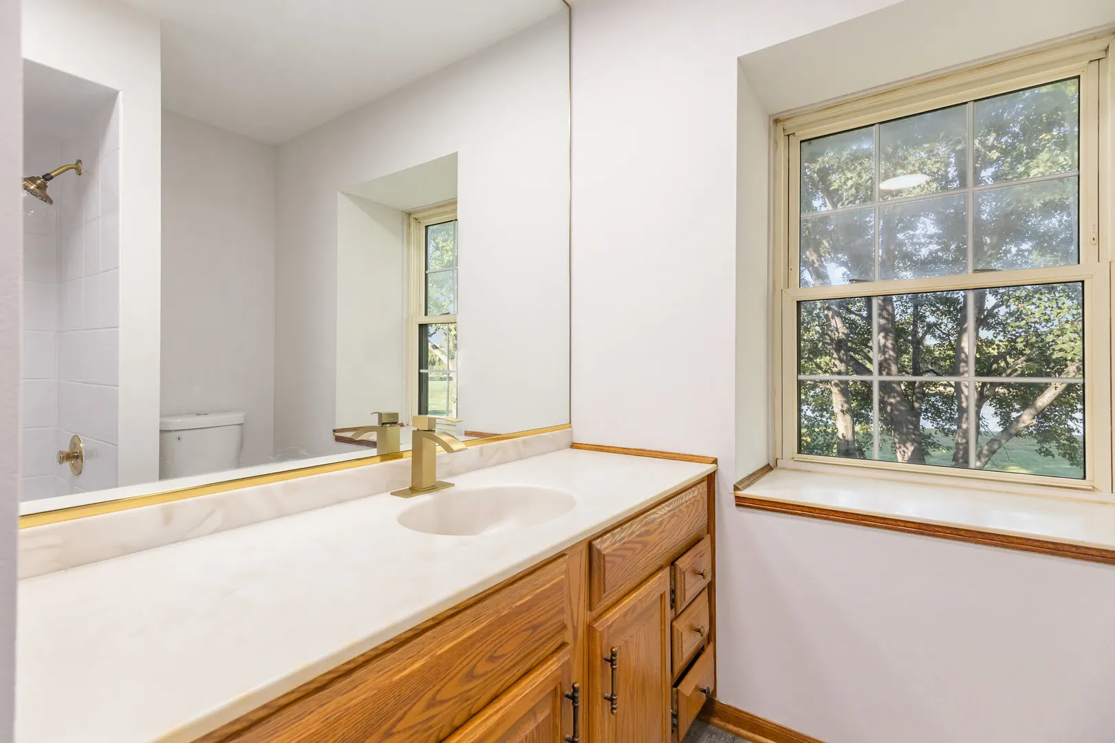 648 Dauphine Court F IL
