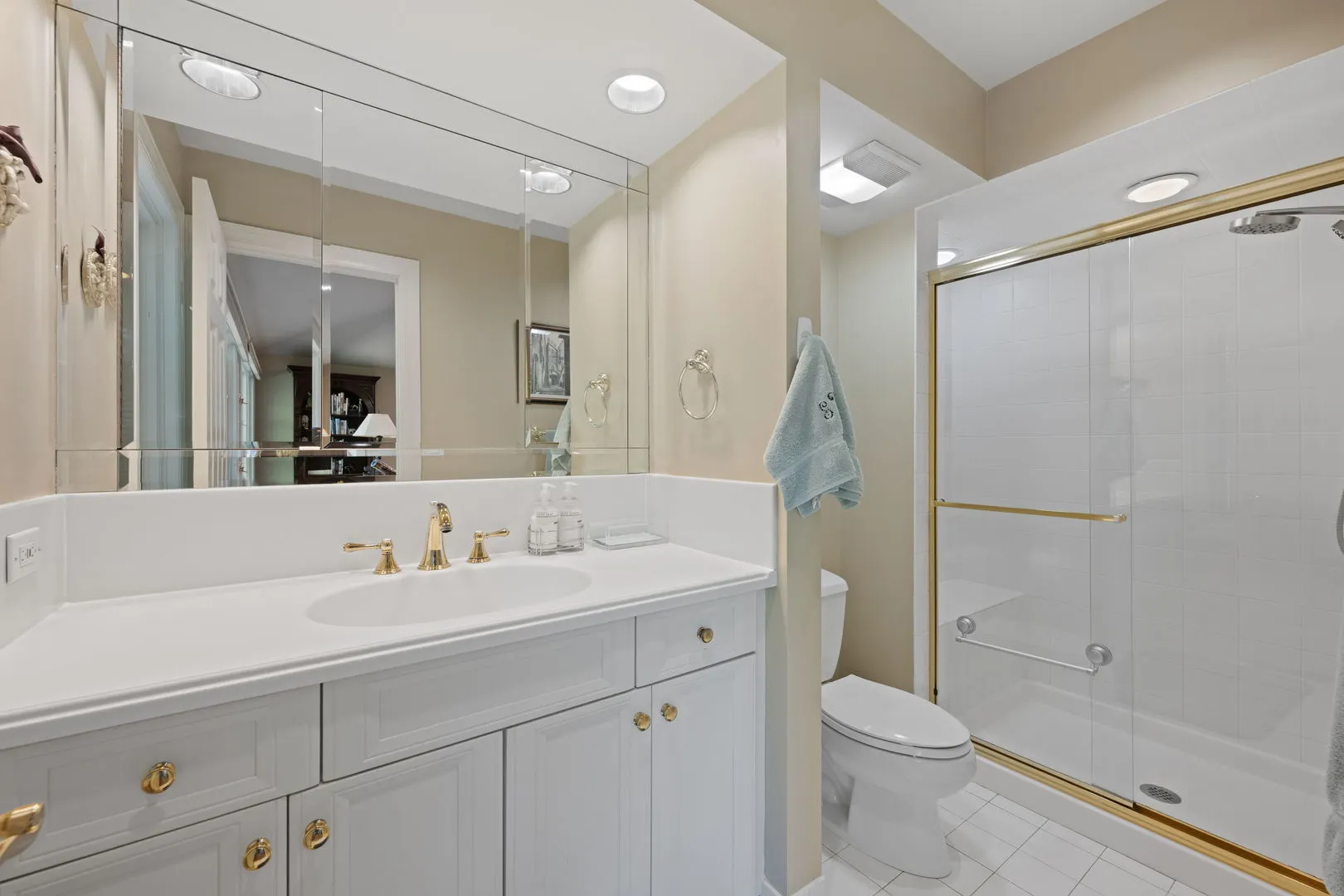 1605 Freesia Court IL