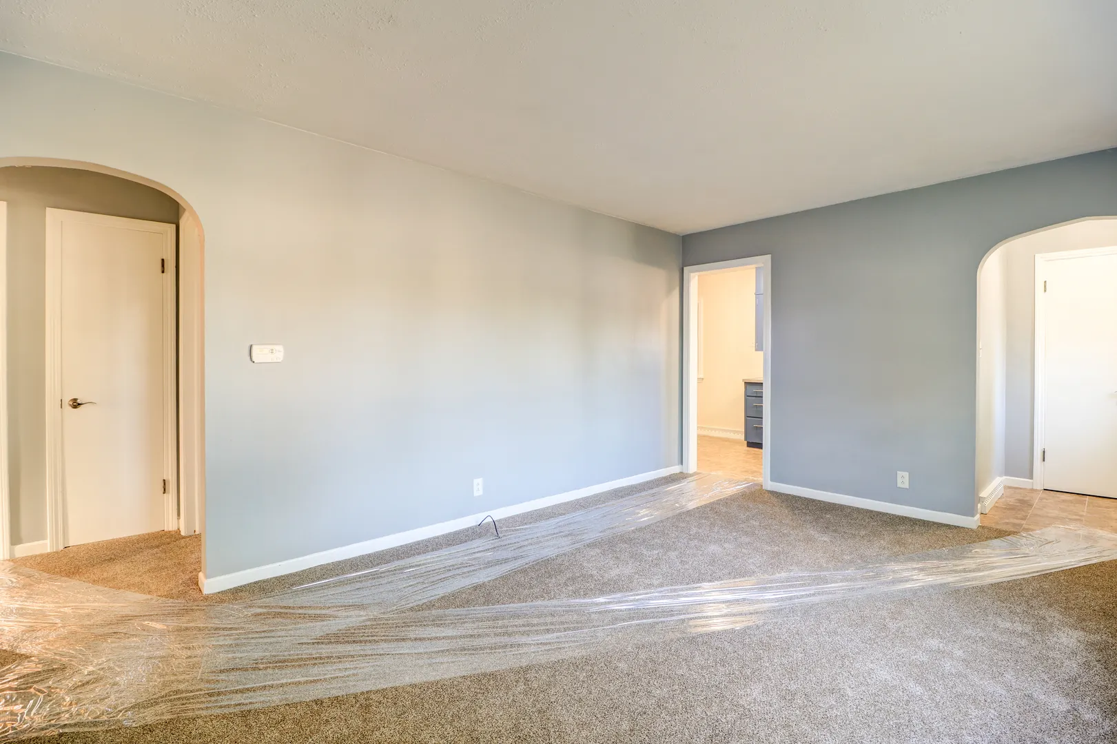1013 W 8th Street IL
