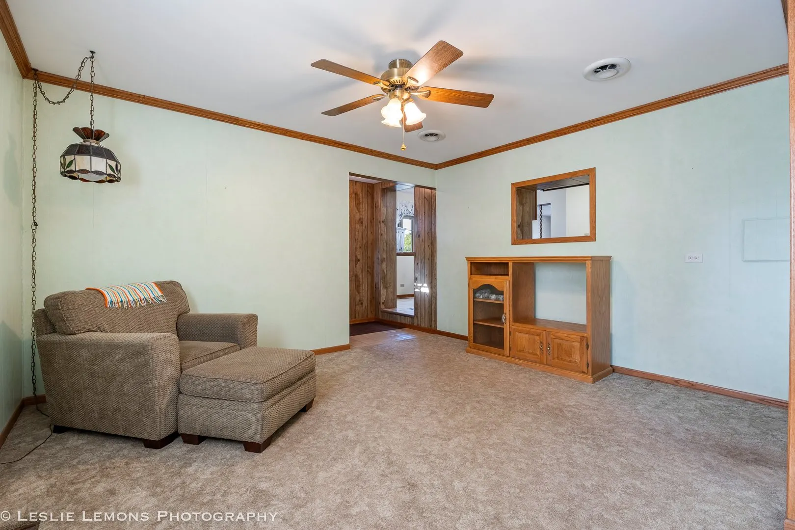 13231 E Playfield Drive IL