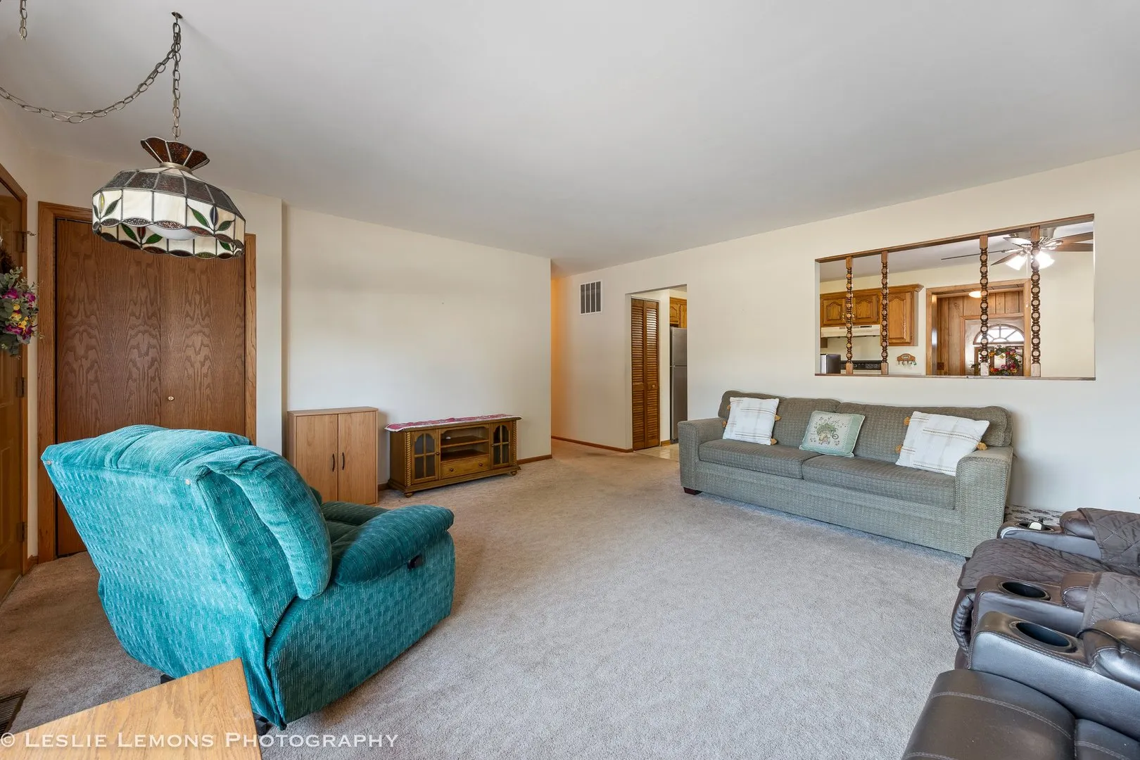 13231 E Playfield Drive IL