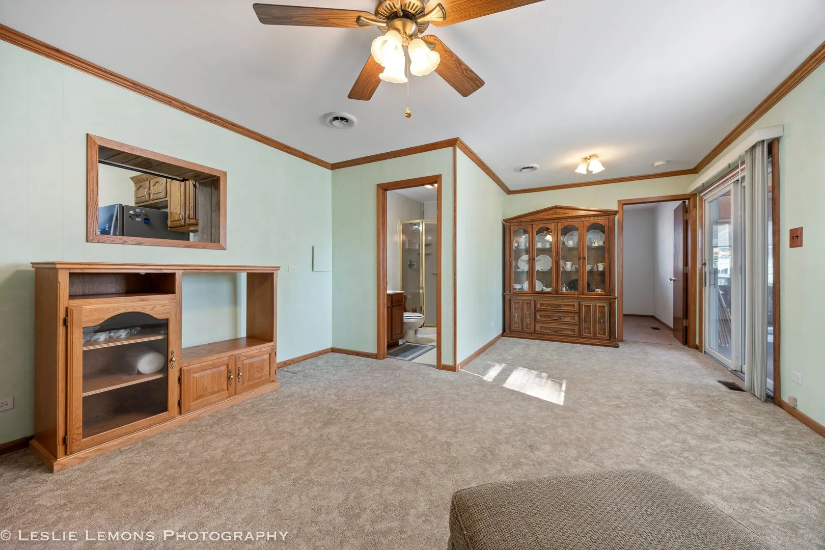 13231 E Playfield Drive IL