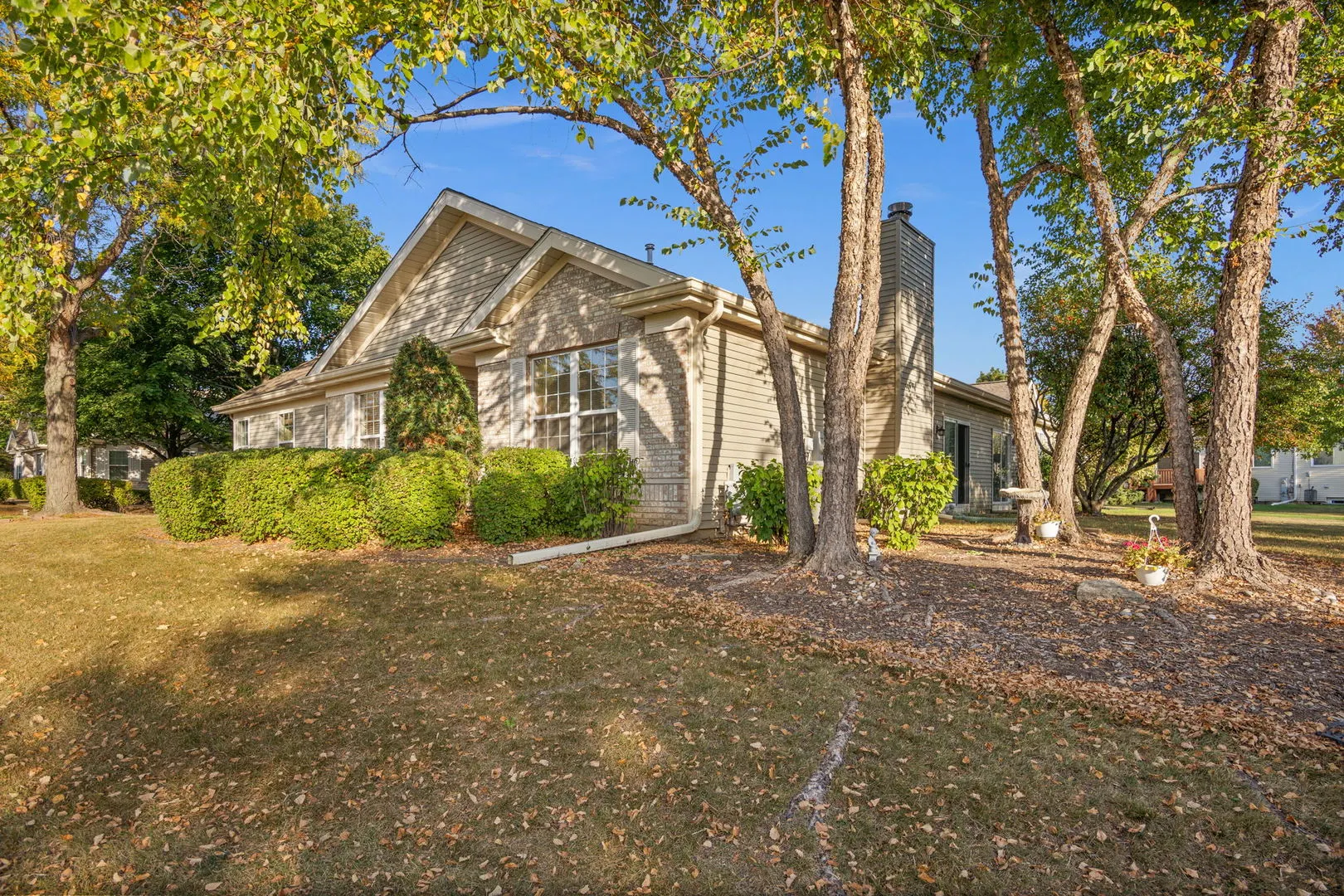 20965 W Snowberry Lane IL