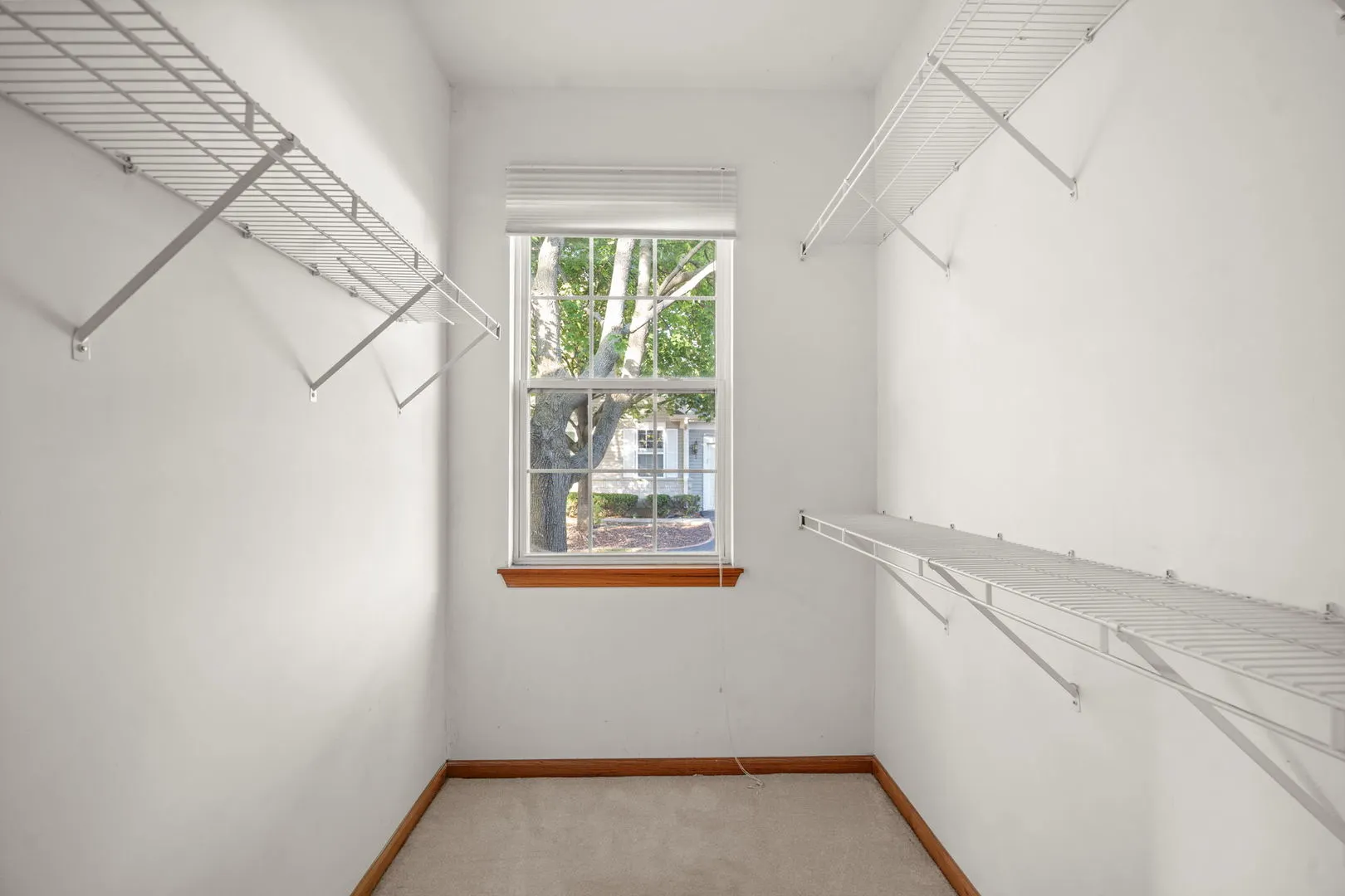 20965 W Snowberry Lane IL