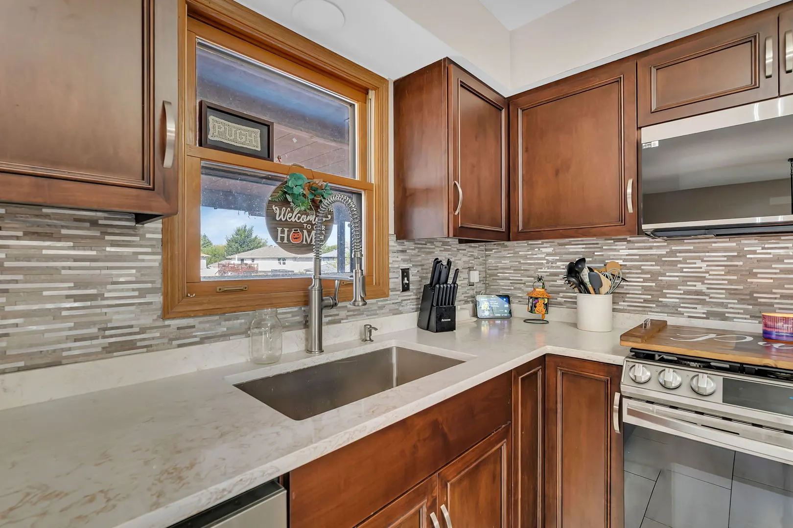 2411 Ruth Fitzgerald Drive IL