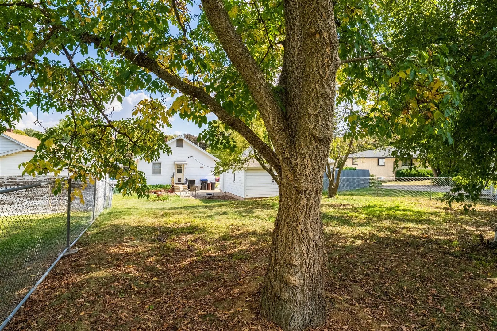 1227 Low Street IL